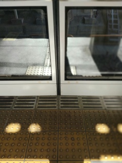 ���˂����邩��A���قǊ����Ȃ������B