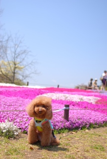 ���a�L�O�����ł�Fran����ł��͂�💓