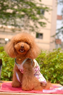 �Ί�Fran����ł��͂�💓