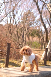 �k�̊ی����ł�Fran����ł��͂�💓