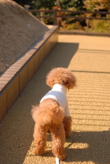 �䂪����i��Fran����ł��͂�💓