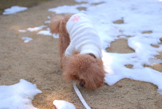 ��̖����������ɕ���Fran����ł��͂�💓