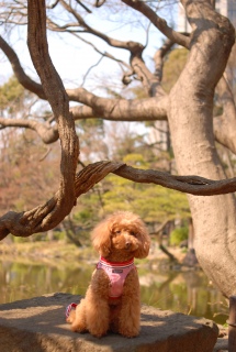 ����J�����ł̂e����������ł��͂�💓