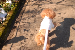 ���U������������Fran����ł��͂�💓