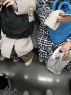 �P�����ė��ėǂ������`