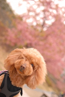 �͒Í���Fran����ł��͂�💓