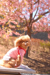 �͒Í���Fran����ł��͂�💓