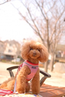 �n���������U���Ńx���`�ŋx�e�̂e����������ł��͂�💓