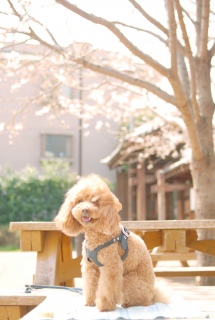 �t�̕��𗁂т�Ί��Fran����ł��͂�💓