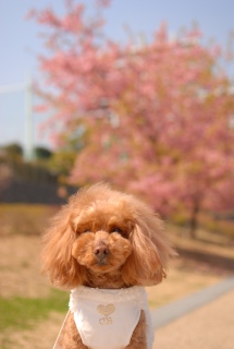 ���o�b�N��Fran����ł��͂�💓