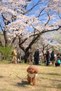 �k�̊ی����̃\���C���V�m���o�b�N�Ɂ`��Fran����ł��͂�💓