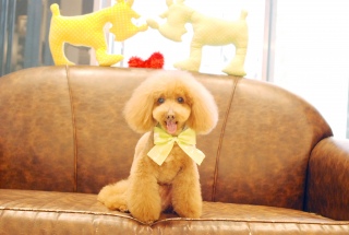 �g���~���O�A�t�^�[��Fran����ł��͂�💓