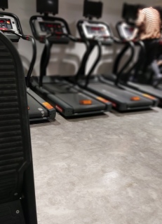 4.31�X�^�[�g