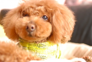 ���傢���A���O�������Fran����ł��͂�💓