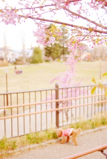 ���U������Fran����ł��͂�💓