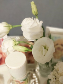 �����͉ԕ�������炵��😱