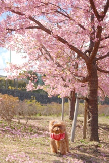 �͒Í���Fran����ł��͂�💓