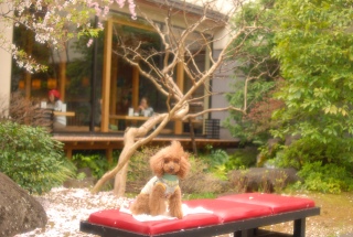 �a���`�b�N�ȏ��ł�Fran����💛