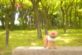 �k�̊ی����ł�Fran����ł��͂�💓