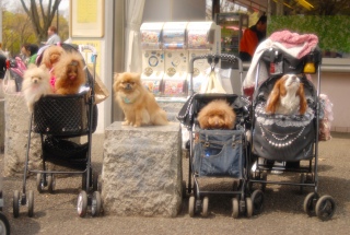 �����J�[�j�o���ł�Fran����ł��͂�💓