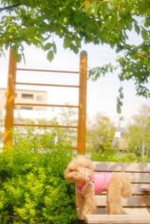 �n�������ŏt�̕��Ƌ��Ɂ`��Fran����💛