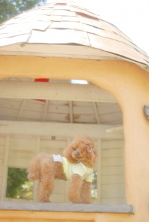 ���a�L�O�����ł�Fran����ł��͂�💓