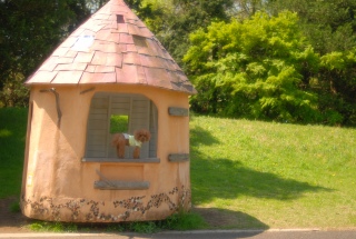 �o������\�肾�������ǁA�������Ⴊ�~���Ă�������āA�A���~�ɂ����B�B�B