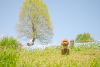 ���a�L�O�����̃l���t�B����Fran����ł��͂�💛