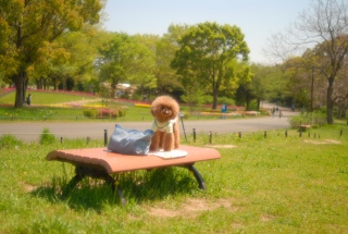 ���a�L�O�����ł�Fran����ł��͂�💛