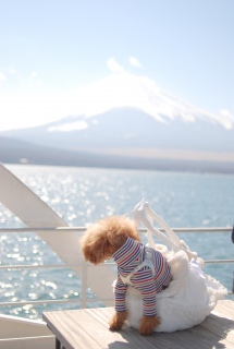 �X�������̒�����x�m�R�����Ă�Fran����ł��͂�💛