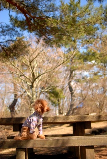 �R���΂ł�Fran����ł��͂�💛