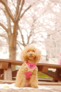 ���o�b�N�Ɂ`��Fran����ł��͂�💓