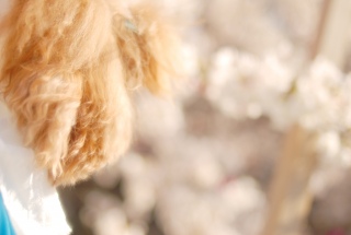 �L�����[�o�b�N�̒�������ӏܒ���Fran����ł��͂�💓