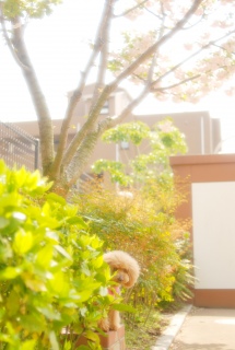 �Ђ������`��Fran����ł��͂�💓