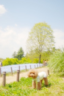 ���a�L�O�����l���t�B����Fran����ł��͂�💓