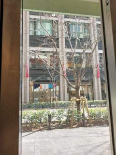 ���������炢�ė��Ă�