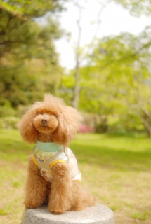 �k�̊ی����ł�Fran����ł��͂�💓