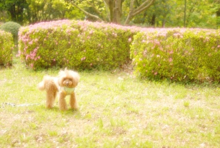 ���o�b�N�Ɂ`��Fran����ł��͂�💓