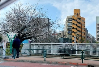 �Ԓ�����_�c��̍�📷