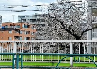 ���Α��̐_�c��̍��͂���Ȋ����A�����������ʂ�͂����R�~�R�~�ŉ^�]�O�����Ⴄ😟