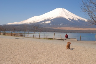 �x�m�R�ɋ삯���Fran����ł��͂�💓