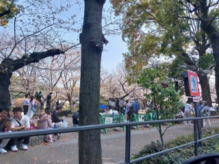 �����l�`���Ԍ����Ă�🌸