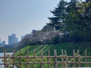 �璹�����ʉ߁A���̓A�v���Ől��������👍