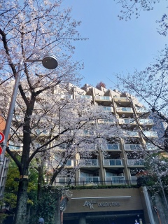 �����傩��246���ʂɓ���A�[�N�q���Y�ɗ�����🚗💨