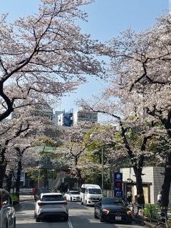 ���r�R���w�߂��͖��J���`�������疃�z�\�ԕ��ʂ�🚗💨