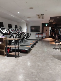 4.33�X�^�[�g