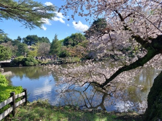 �V�h�䉑�́A�����R❌�Ȃ̂ŁA���͍��܂ň�x����������������