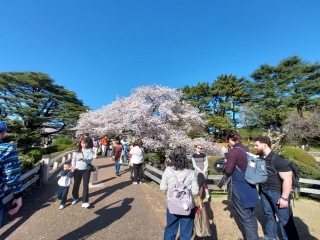 �����͌ߑO���J�������̂ŁA����ł��󂢂Ă���炵���B