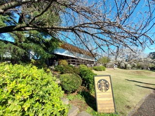 ����̐V�h�䉑�̃X�^�o