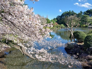 ������ӏ܂������Ǎ��������V�C�ǂ��̂ōs���Ă݂�B